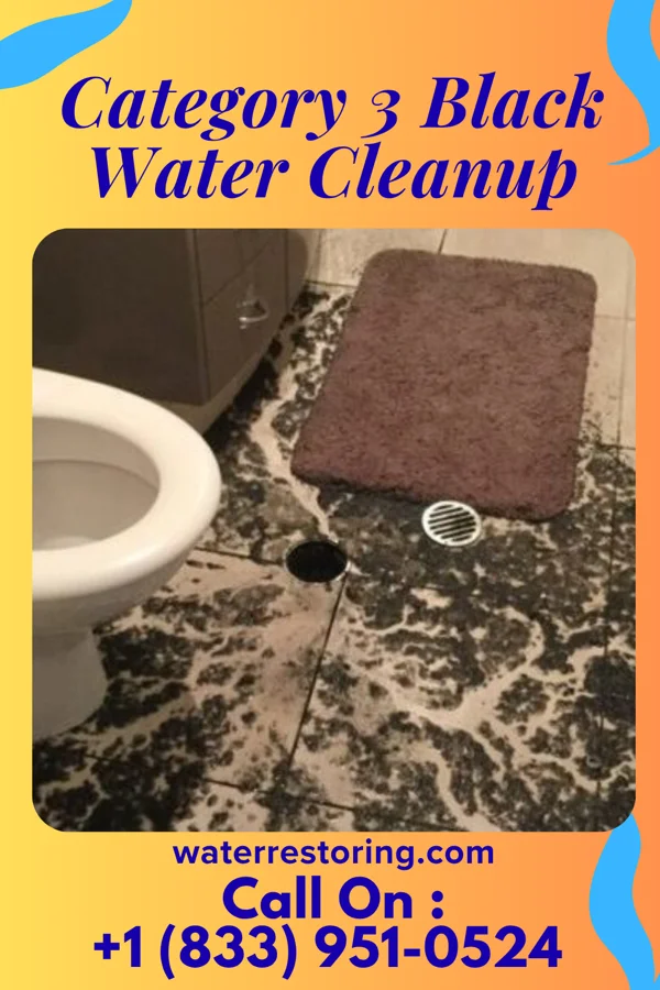 Category 3 Black Water Cleanup in Oneonta, NY