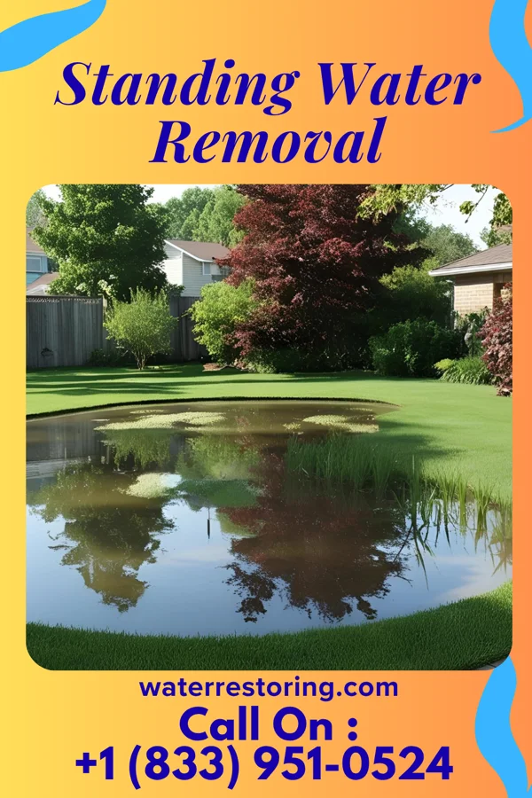 Standing Water Removal in Oneonta, NY